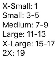 Load image into Gallery viewer, Hello IM THICK Outfit | Women's Set | Two Piece Women's Set | The Real Shirt Plug ™